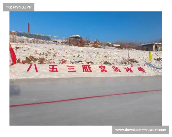 “创聚冰雪”等商业冰场运营模式助力花样滑冰民间推广（推断性）